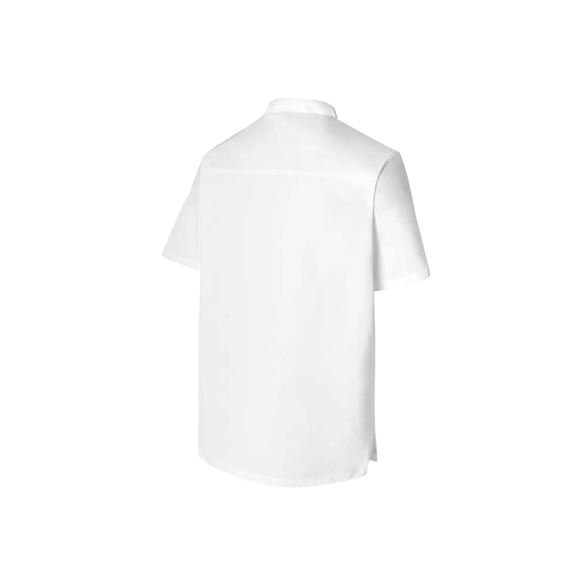 Ekivo - Tunique - Mixte - 79 cm - Molinel Molinel 